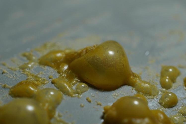 BHO Extraction. Week 12 - Extracting Gold with BHO