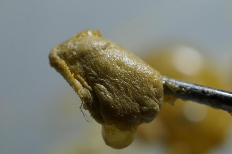 BHO Extraction. Week 12 - Extracting Gold with BHO