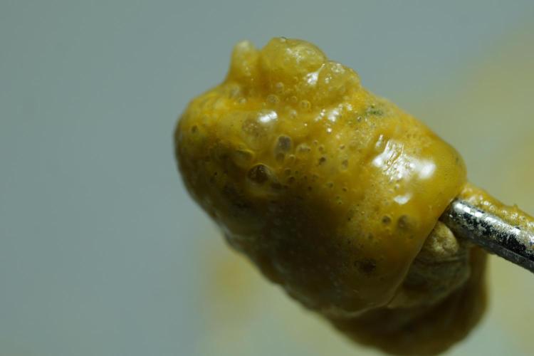 BHO Extraction. Week 12 - Extracting Gold with BHO