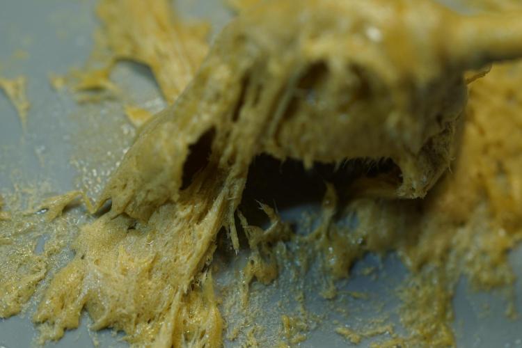 BHO Extraction. Week 12 - Extracting Gold with BHO