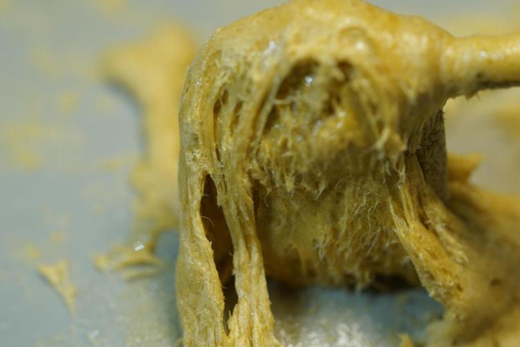 BHO Extraction. Week 12 - Extracting Gold with BHO