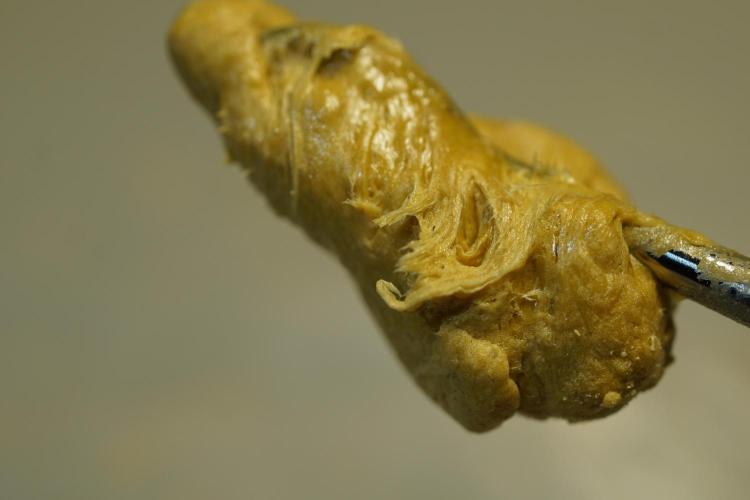 BHO Extraction. Week 12 - Extracting Gold with BHO