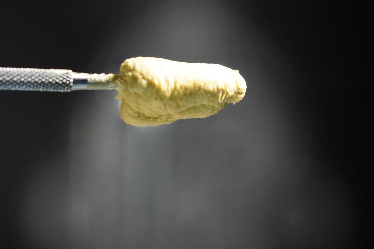 BHO Extraction. Week 12 - Extracting Gold with BHO