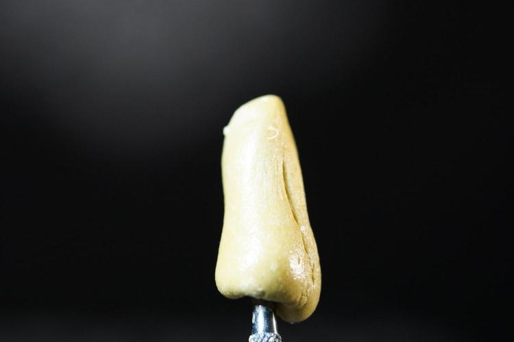 BHO Extraction. Week 12 - Extracting Gold with BHO