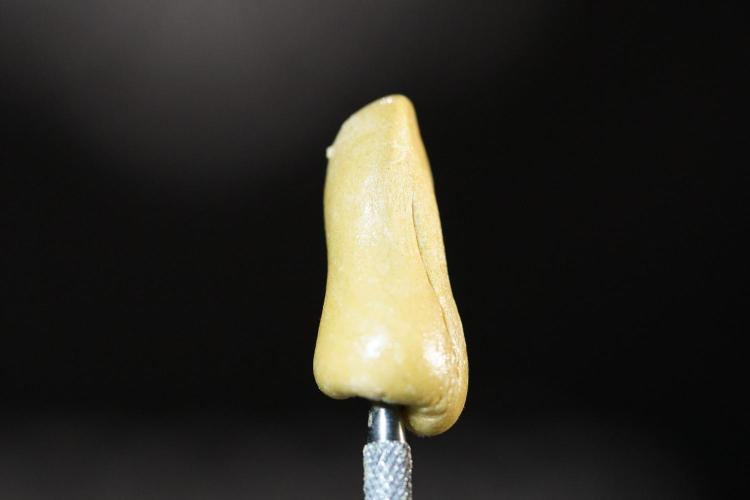 BHO Extraction. Week 12 - Extracting Gold with BHO