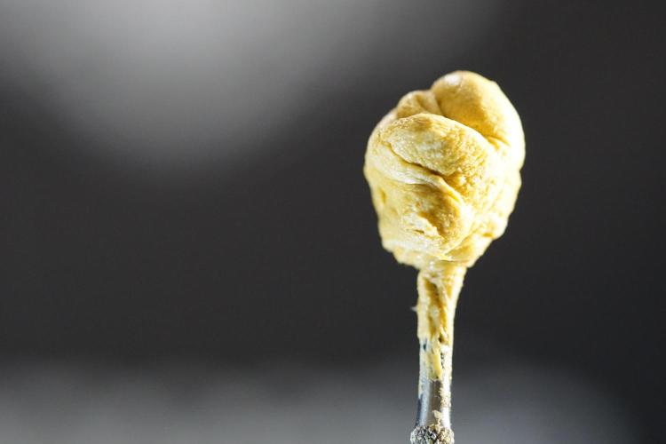 BHO Extraction. Week 12 - Extracting Gold with BHO