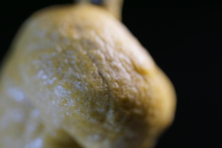 BHO Extraction. Week 12 - Extracting Gold with BHO