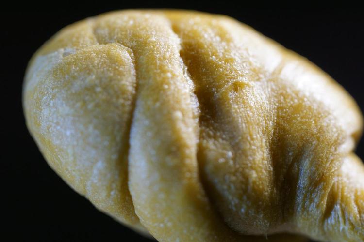 BHO Extraction. Week 12 - Extracting Gold with BHO