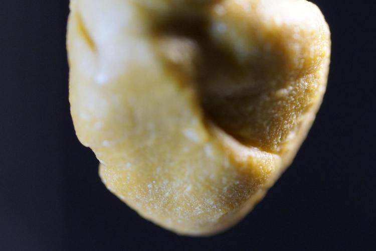 BHO Extraction. Week 12 - Extracting Gold with BHO