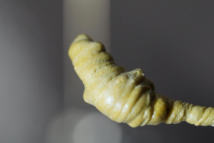 BHO Extraction. Week 12 - Extracting Gold with BHO