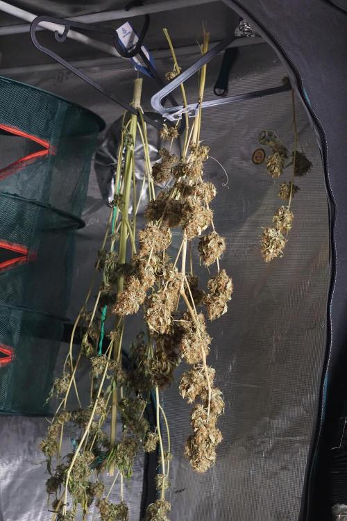 A Sudae Driver Mood. Week 14 - SD#2