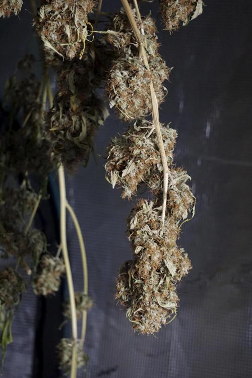 A Sudae Driver Mood. Week 14 - SD#2