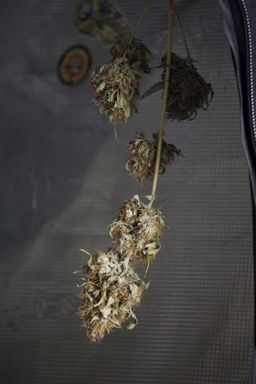 A Sudae Driver Mood. Week 14 - SD#2