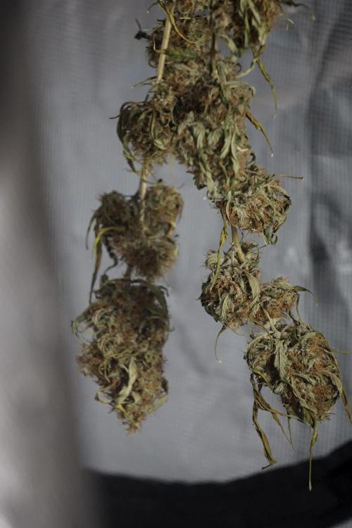 A Sudae Driver Mood. Week 14 - SD#2