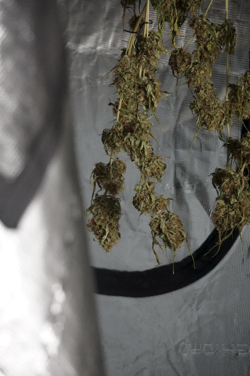 A Sudae Driver Mood. Week 14 - SD#2