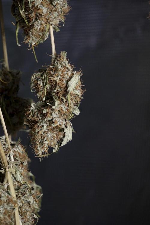 A Sudae Driver Mood. Week 14 - SD#2