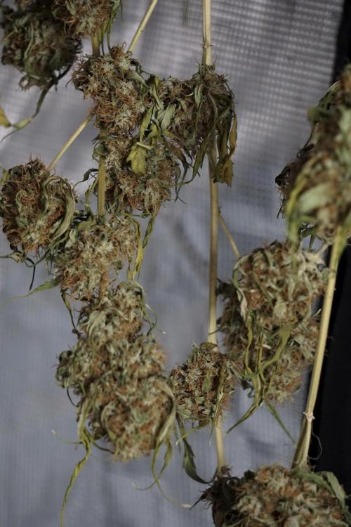 A Sudae Driver Mood. Week 14 - SD#2