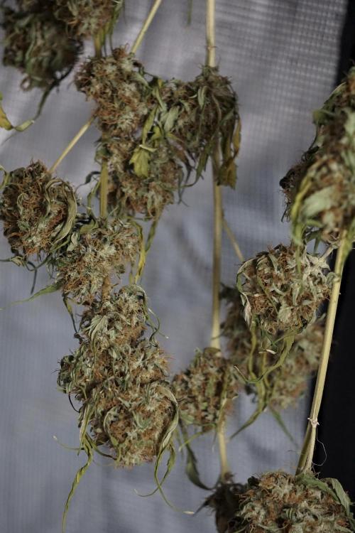 A Sudae Driver Mood. Week 14 - SD#2