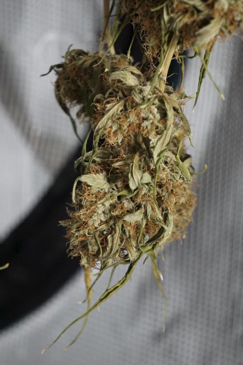 A Sudae Driver Mood. Week 14 - SD#2