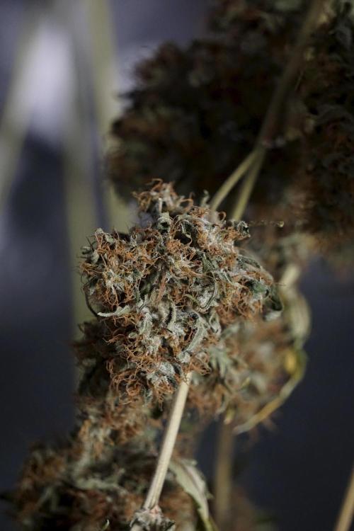 A Sudae Driver Mood. Week 14 - SD#2