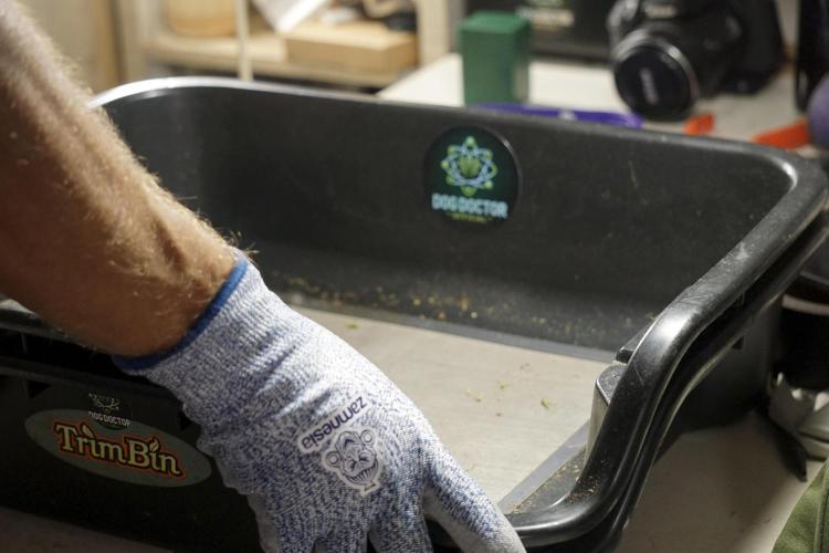 A Sudae Driver Mood. Week 14 - SD#2