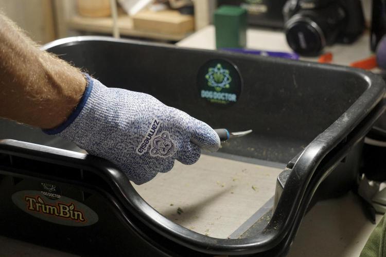 A Sudae Driver Mood. Week 14 - SD#2