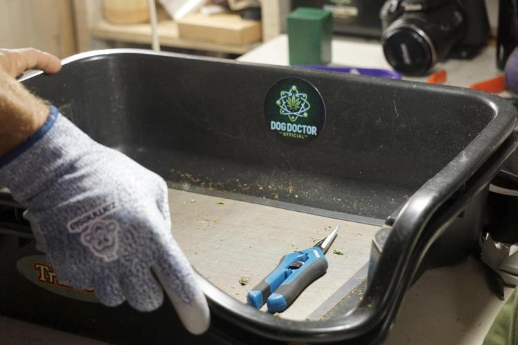 A Sudae Driver Mood. Week 14 - SD#2