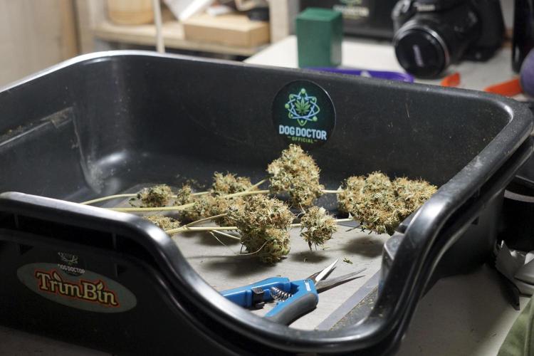 A Sudae Driver Mood. Week 14 - SD#2