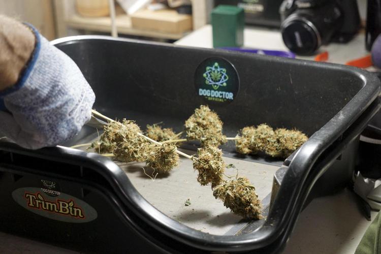 A Sudae Driver Mood. Week 14 - SD#2