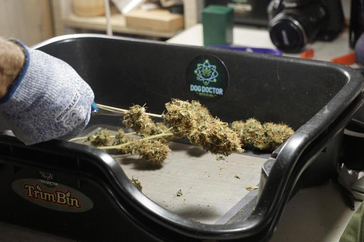 A Sudae Driver Mood. Week 14 - SD#2