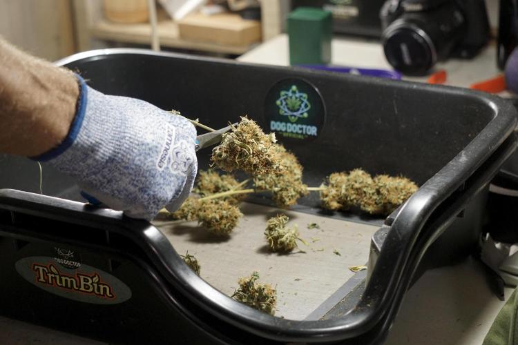 A Sudae Driver Mood. Week 14 - SD#2