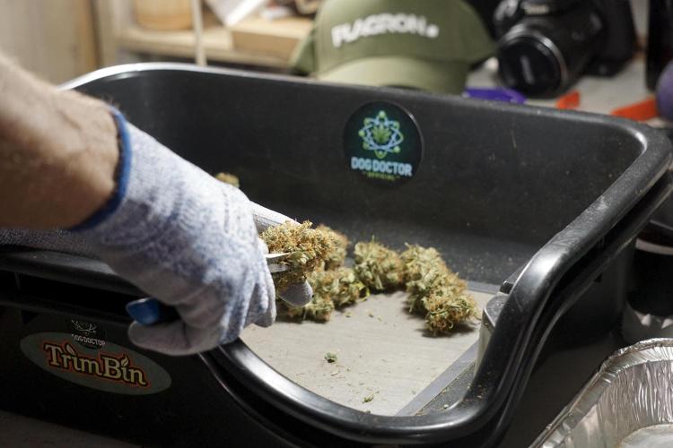 A Sudae Driver Mood. Week 14 - SD#2