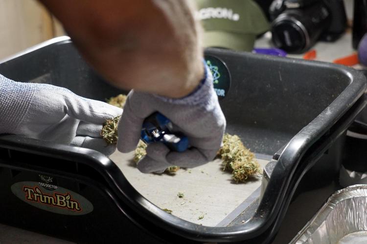 A Sudae Driver Mood. Week 14 - SD#2