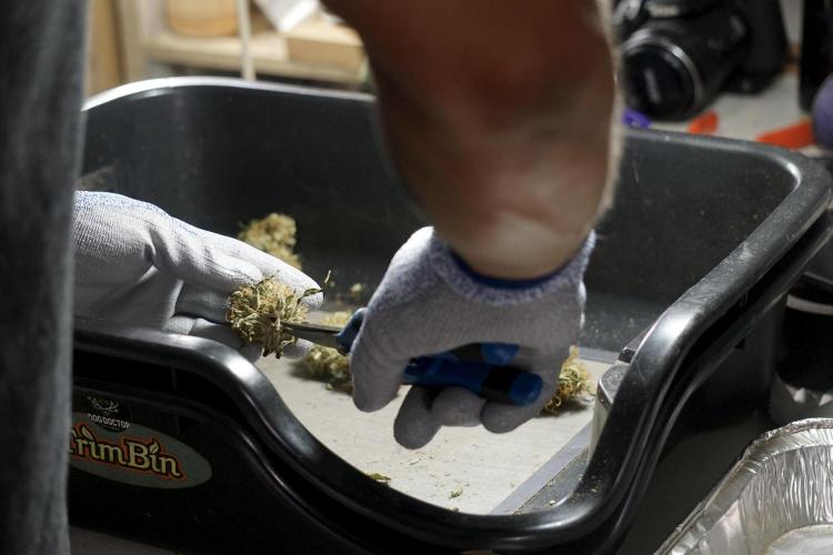 A Sudae Driver Mood. Week 14 - SD#2