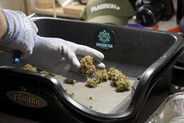 A Sudae Driver Mood. Week 14 - SD#2