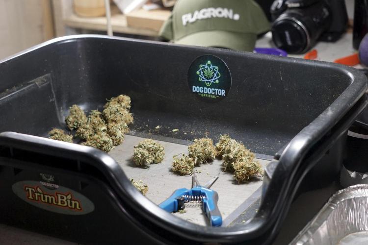 A Sudae Driver Mood. Week 14 - SD#2