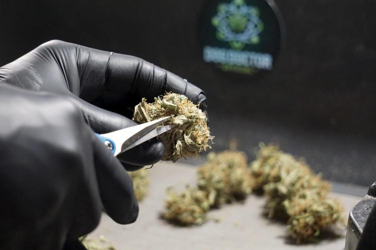 A Sudae Driver Mood. Week 14 - SD#2