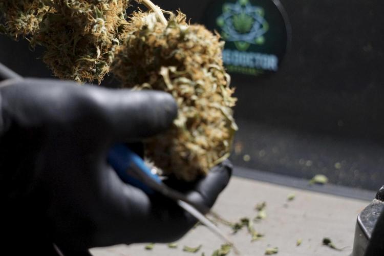 A Sudae Driver Mood. Week 14 - SD#2