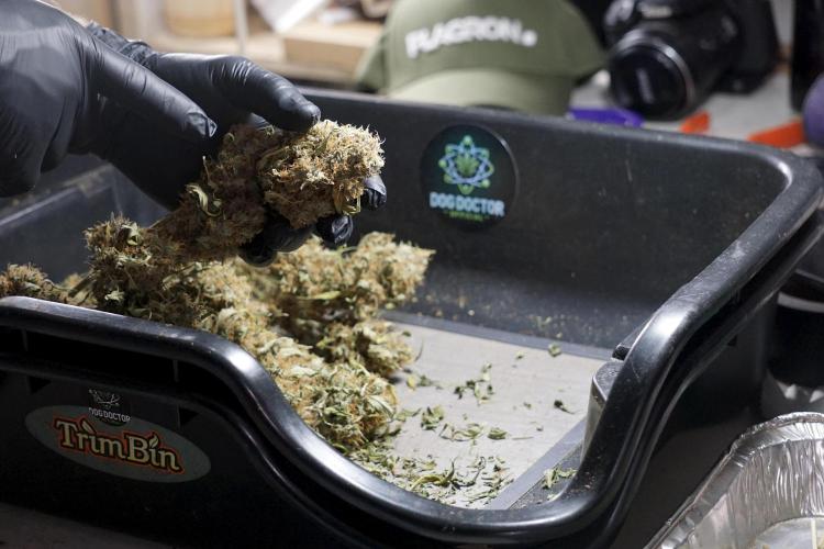 A Sudae Driver Mood. Week 14 - SD#2