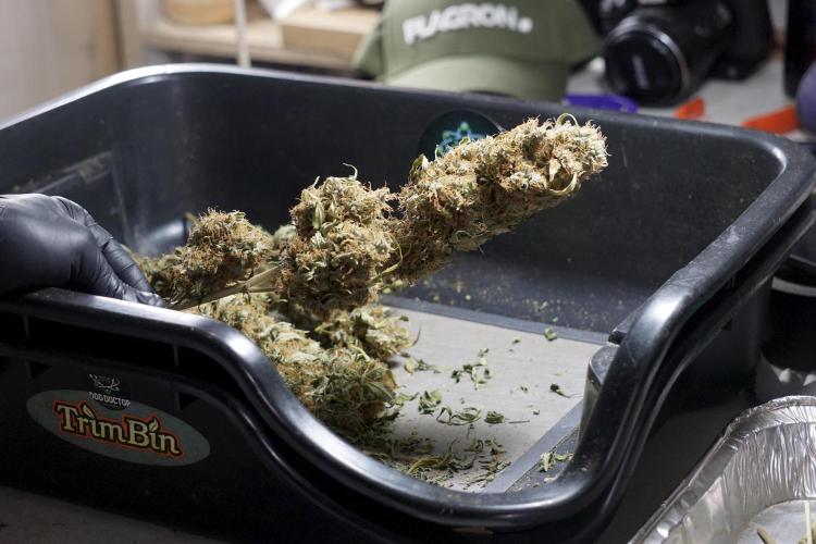 A Sudae Driver Mood. Week 14 - SD#2