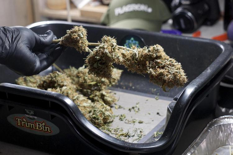 A Sudae Driver Mood. Week 14 - SD#2