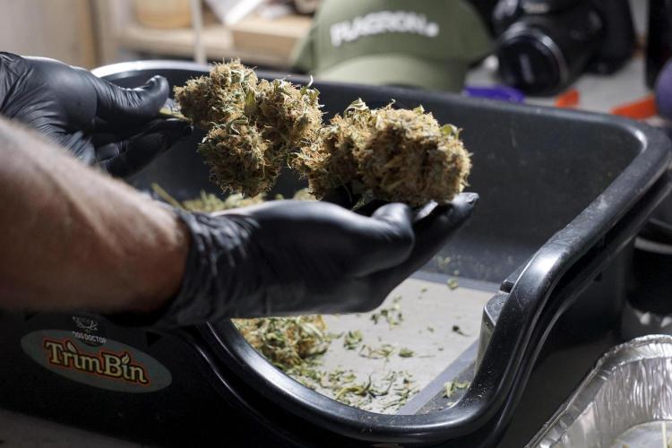 A Sudae Driver Mood. Week 14 - SD#2