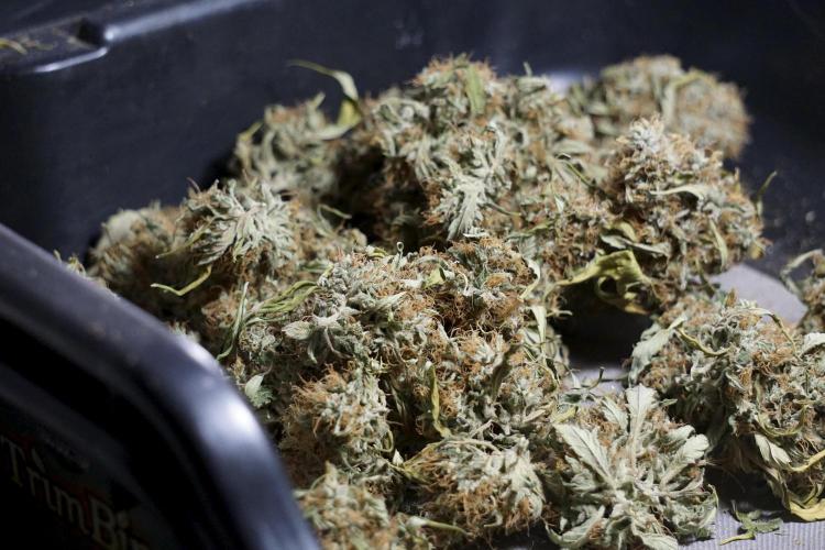 A Sudae Driver Mood. Week 14 - SD#2