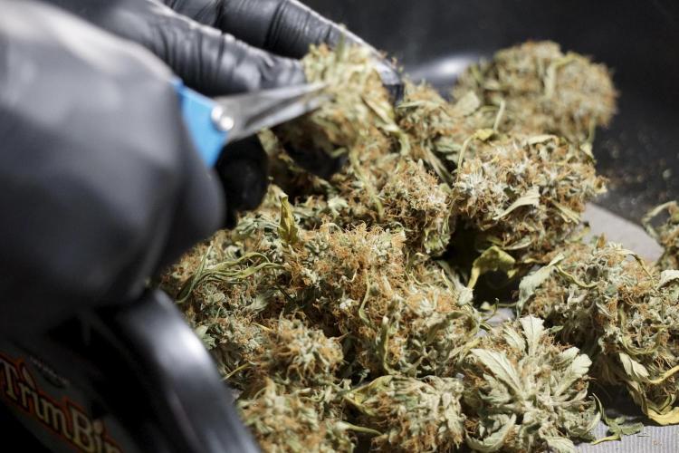 A Sudae Driver Mood. Week 14 - SD#2