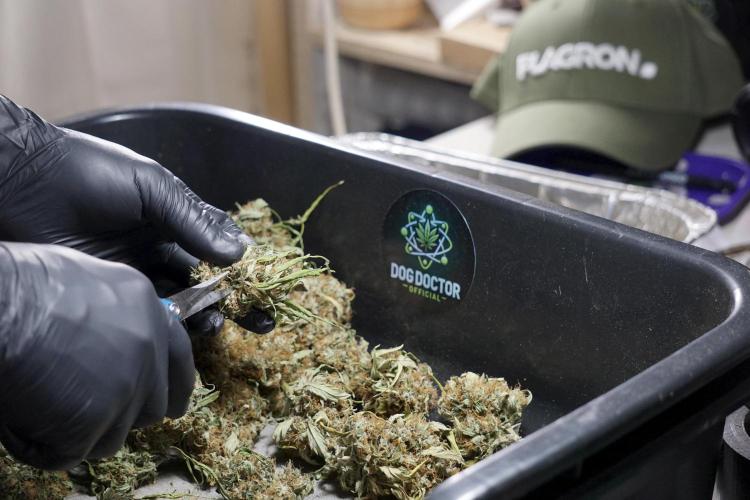 A Sudae Driver Mood. Week 14 - SD#2