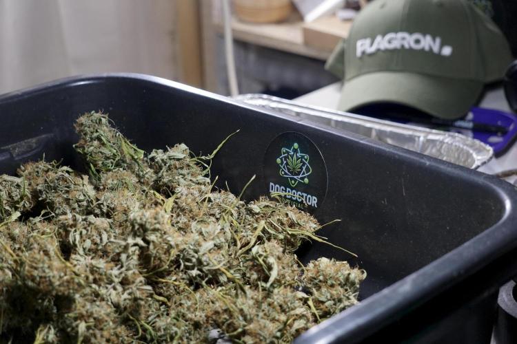 A Sudae Driver Mood. Week 14 - SD#2