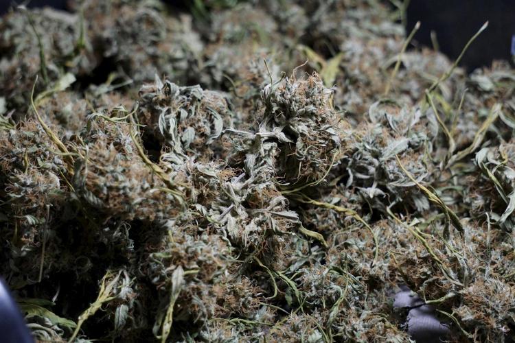 A Sudae Driver Mood. Week 14 - SD#2