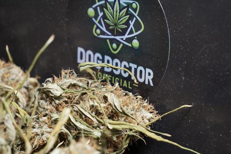 A Sudae Driver Mood. Week 14 - SD#2