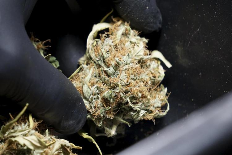 A Sudae Driver Mood. Week 14 - SD#2