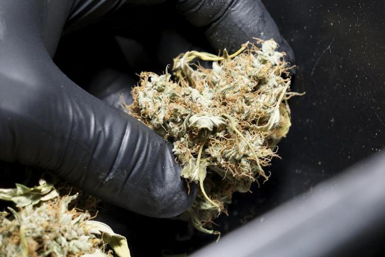 A Sudae Driver Mood. Week 14 - SD#2